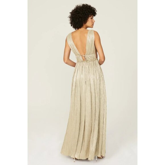 Jonathan Simkhai Gold Lamé Plissé Maxi Gown – Size XS - Picture 3 of 16